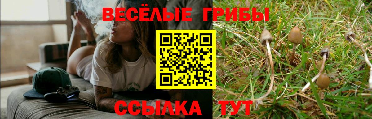 Псилоцибиновые грибы Psilocybine cubensis  Вход с VPN  Железноводск 